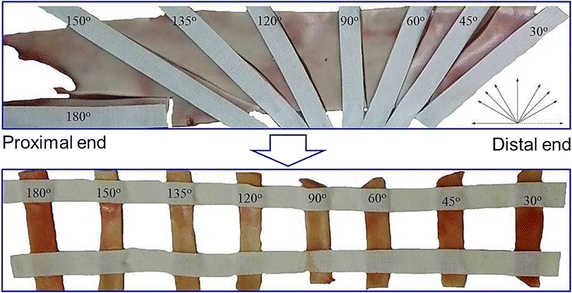 Fig. 2