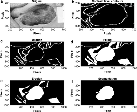 Fig. 7