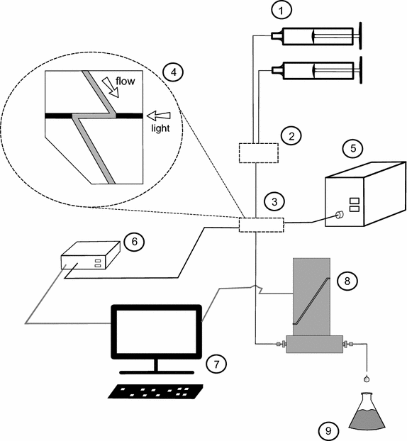 Fig. 6