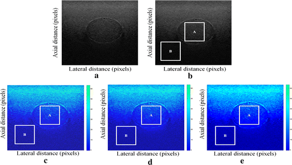 Fig. 1