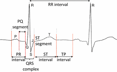 Fig. 1