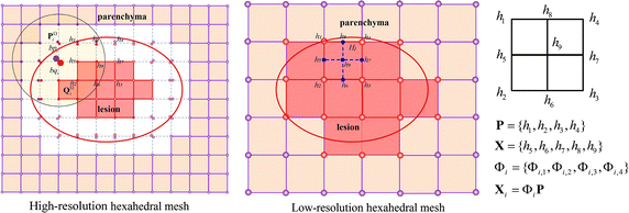 Fig. 6