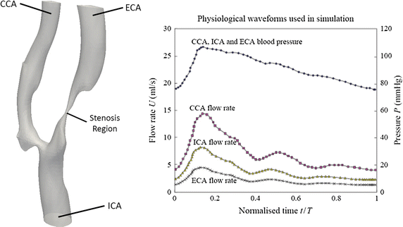 Fig. 5