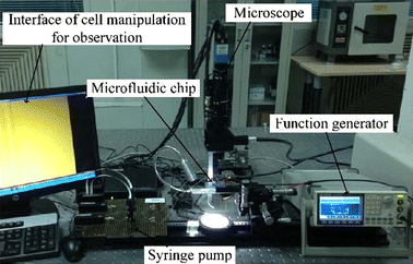 Fig. 1