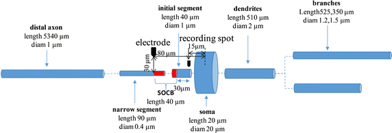 Fig. 1