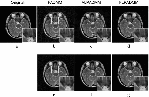 Fig. 5