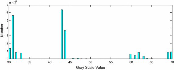 Fig. 2