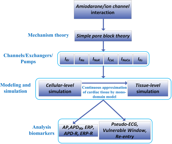 Fig. 1