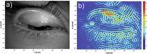 Fig. 3