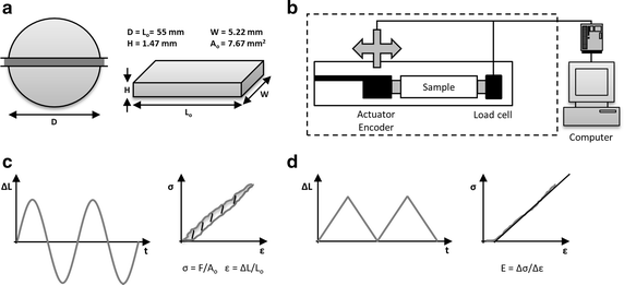 Fig. 1