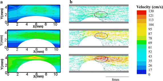 Fig. 5