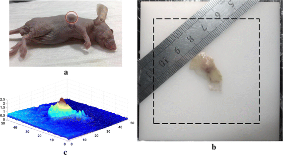 Fig. 8