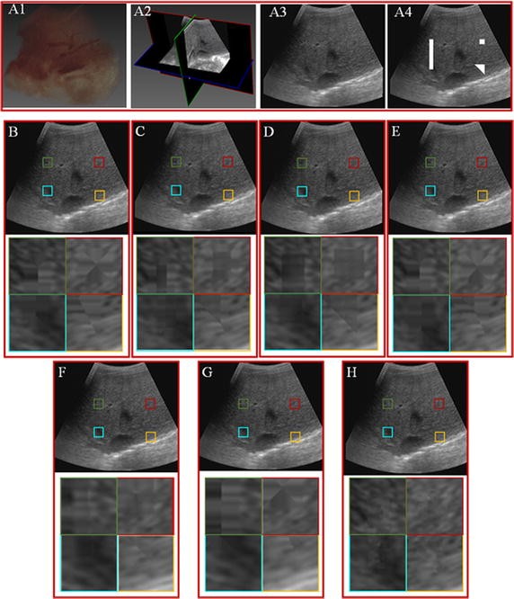 Fig. 4