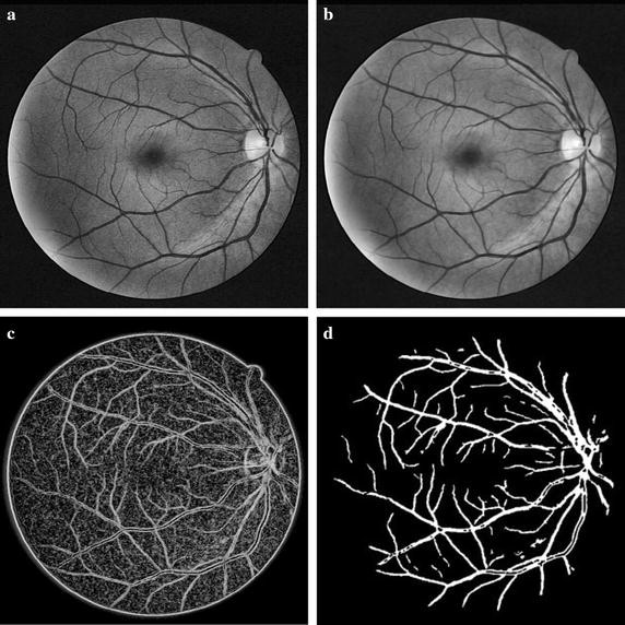 Fig. 3