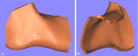 Fig. 7