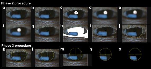 Fig. 3