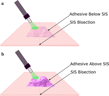 Fig. 3