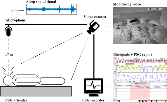 Fig. 1