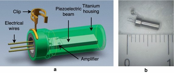 Fig. 9