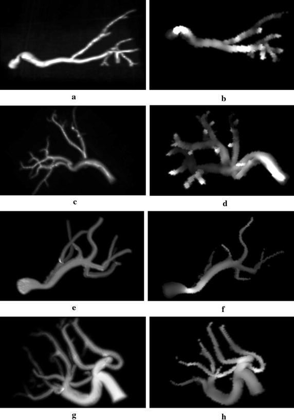 Fig. 8