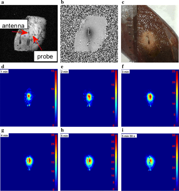 Fig. 5