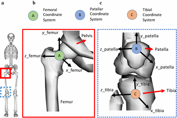 Fig. 1