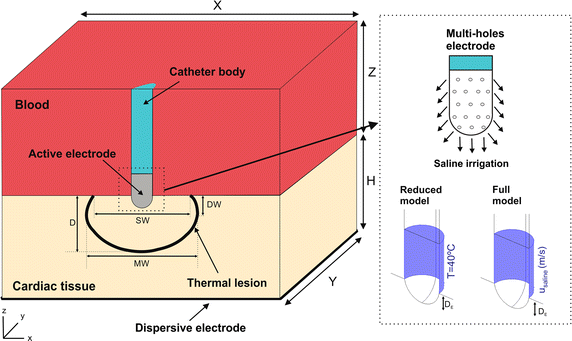 Fig. 1