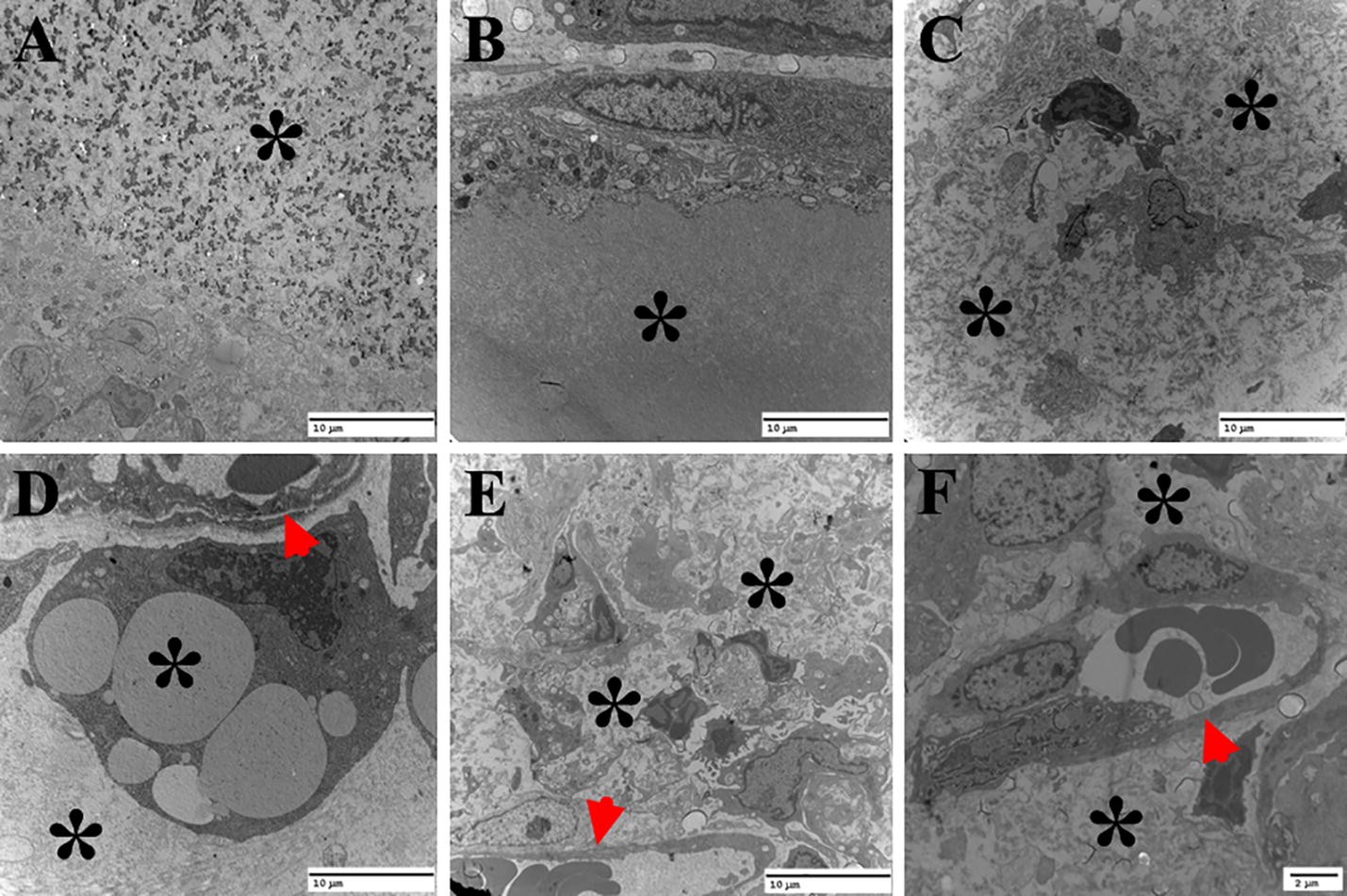 Fig. 10