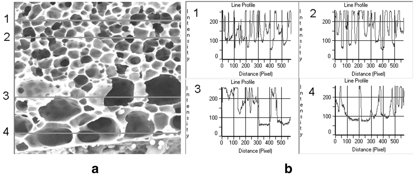 Fig. 10