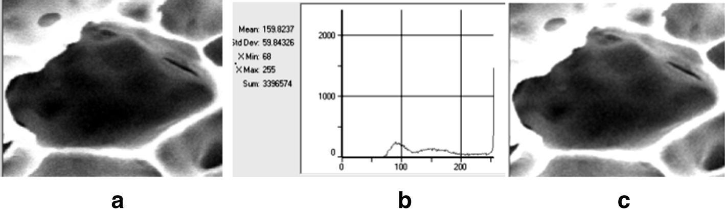 Fig. 2