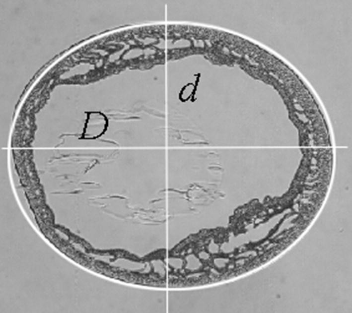 Fig. 6