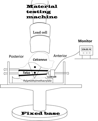 Fig. 1