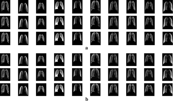 Fig. 6