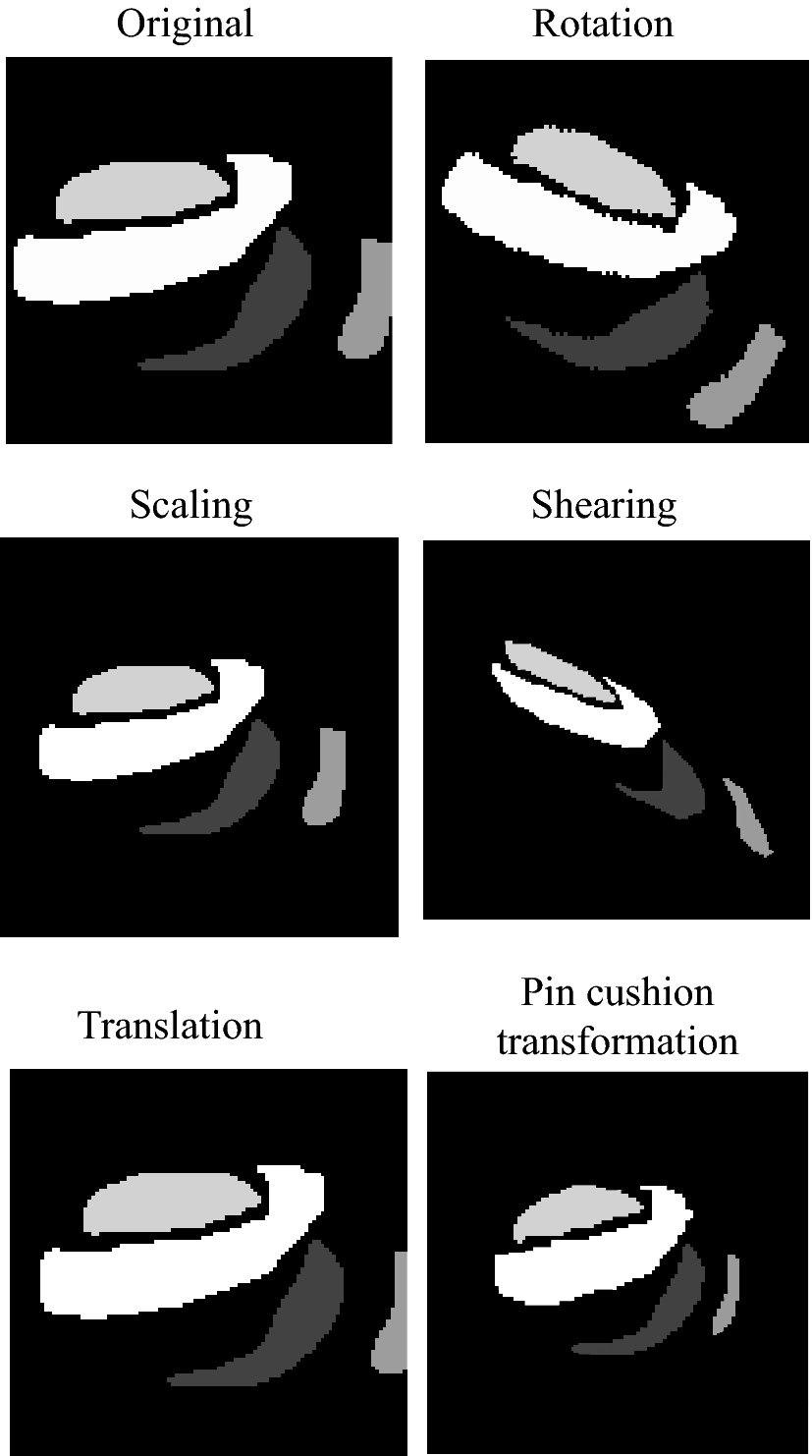 Fig. 7