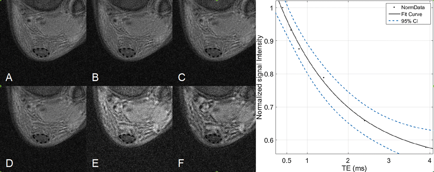 Fig. 5