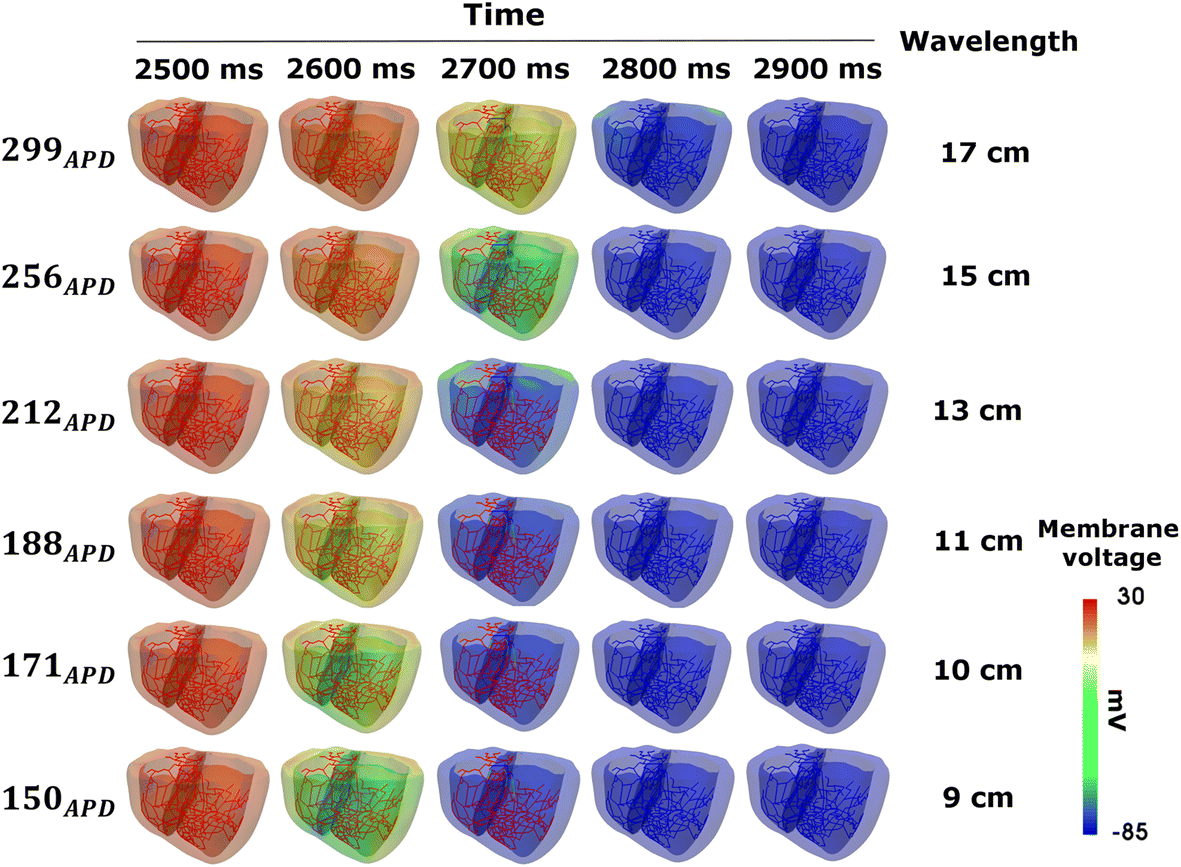 Fig. 3