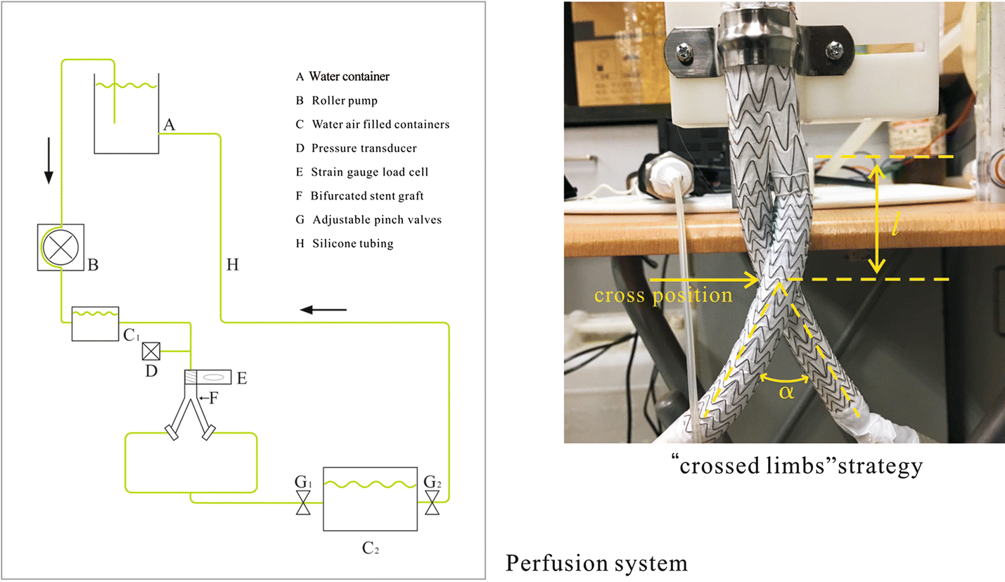 Fig. 11