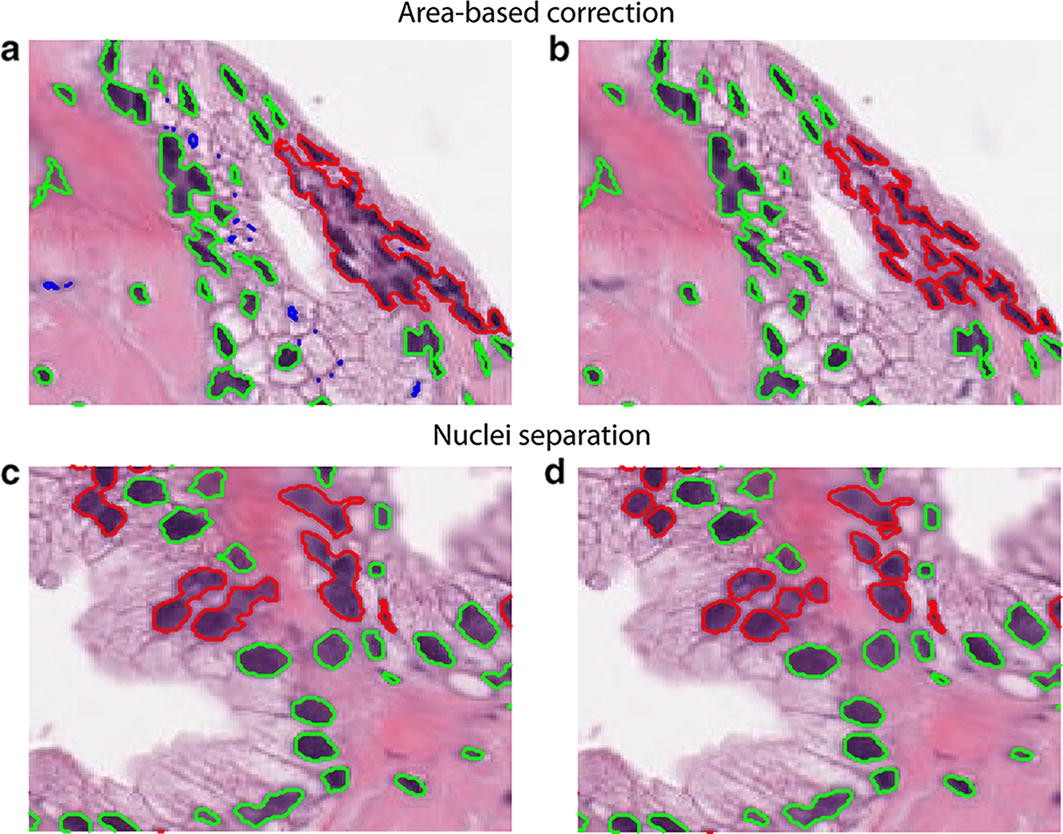 Fig. 2