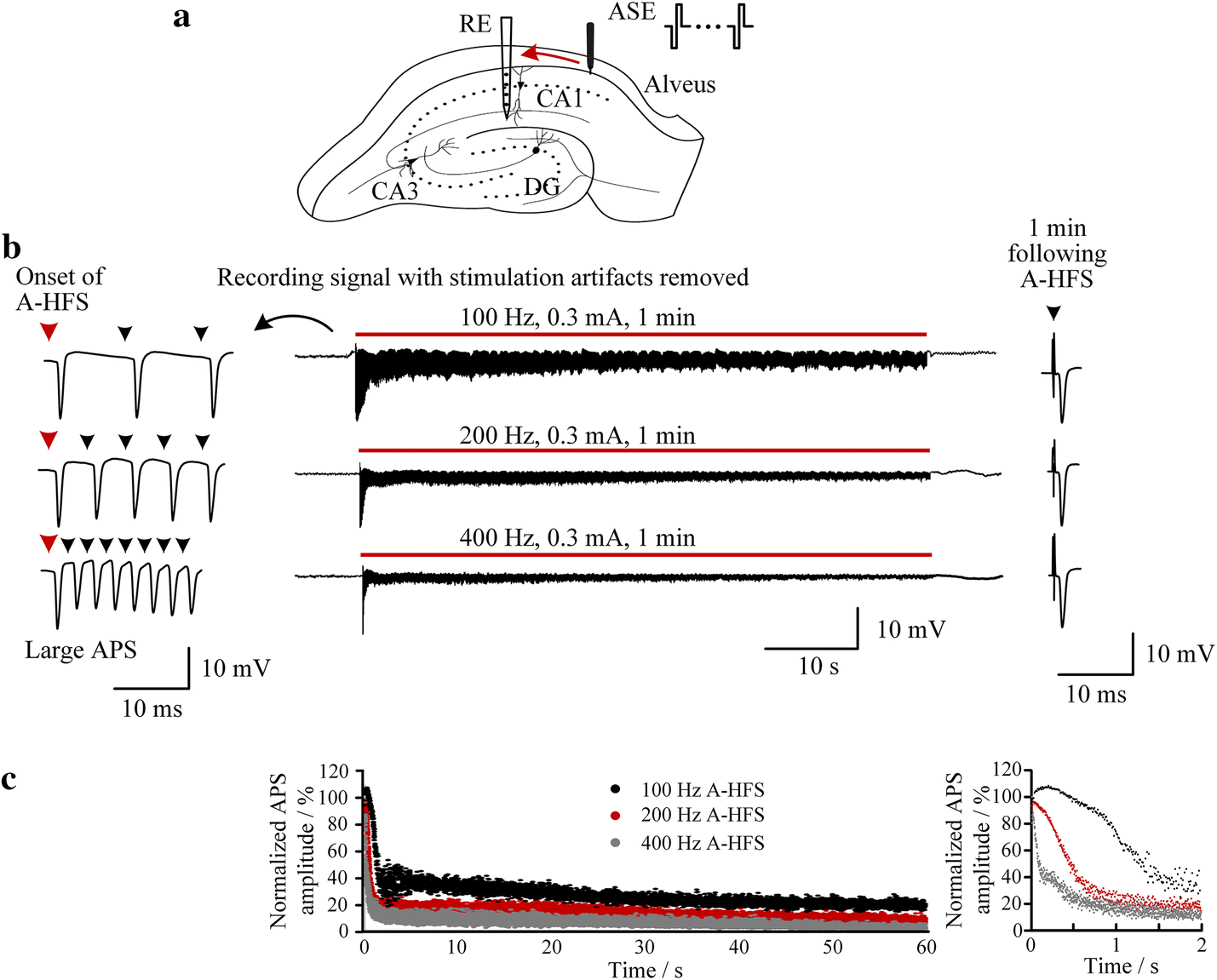 Fig. 5