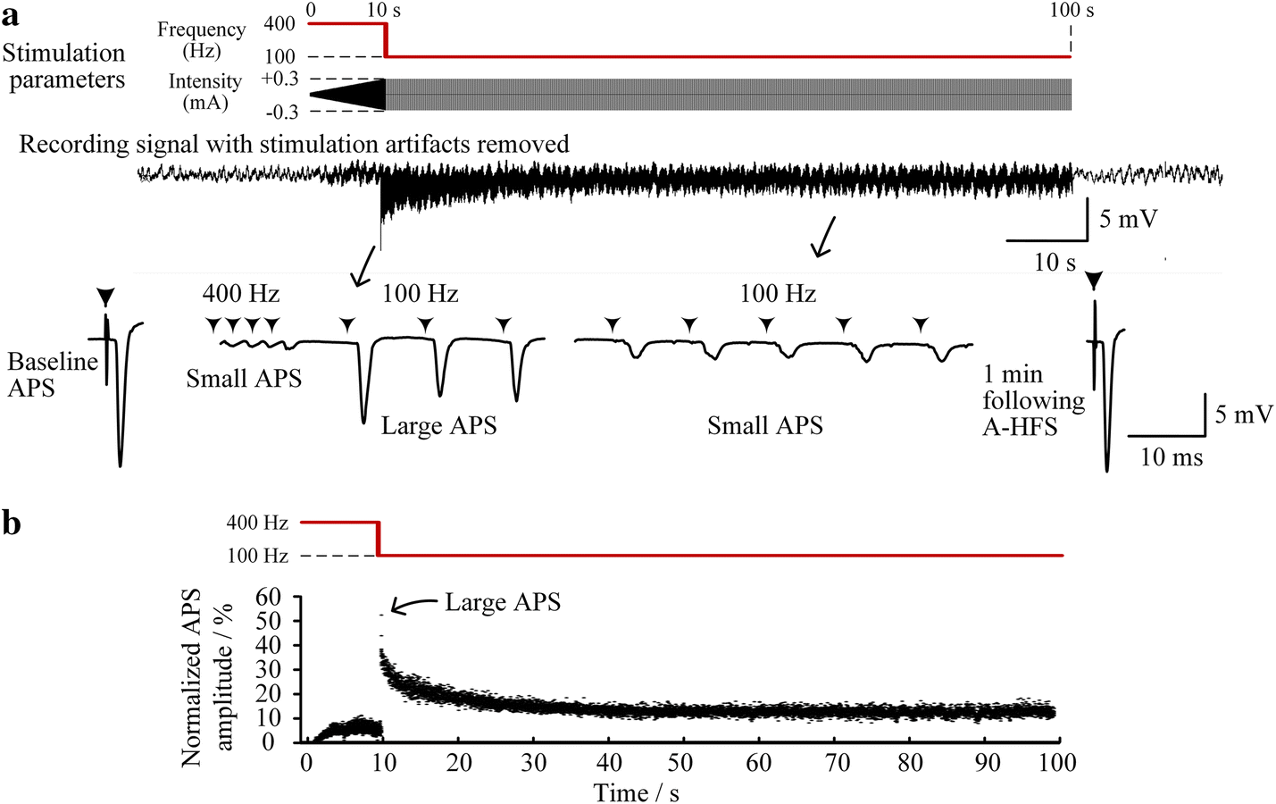 Fig. 6