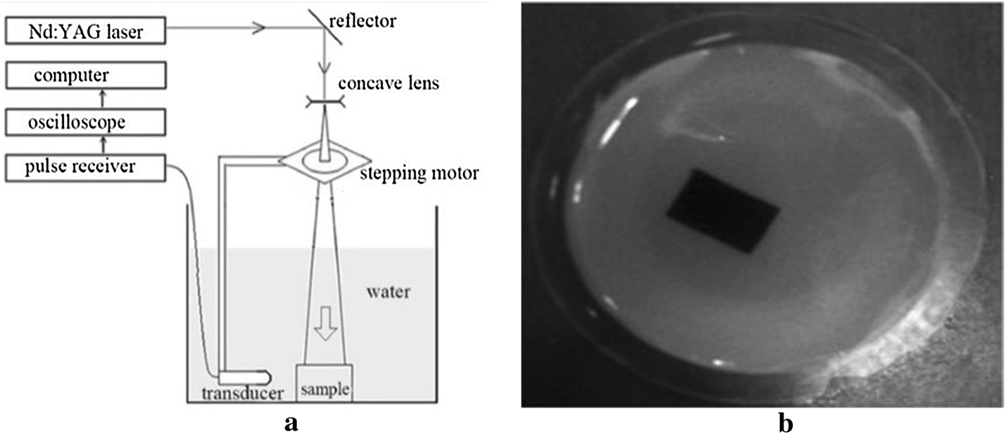 Fig. 9