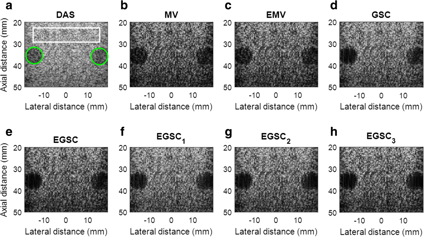 Fig. 10