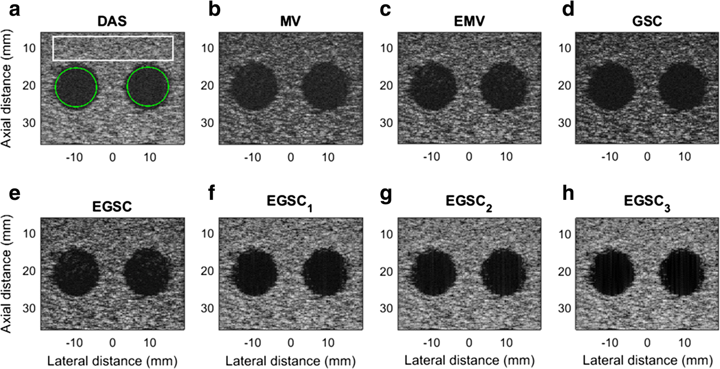 Fig. 8