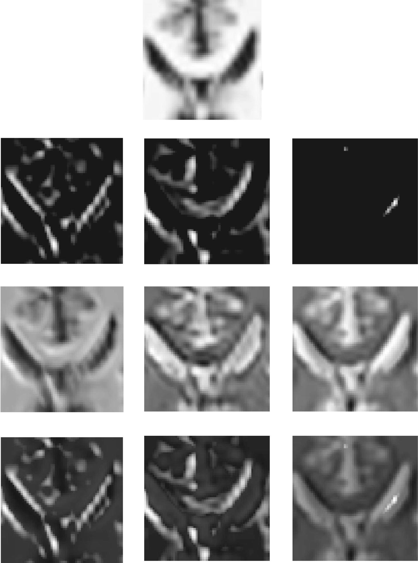 Fig. 15