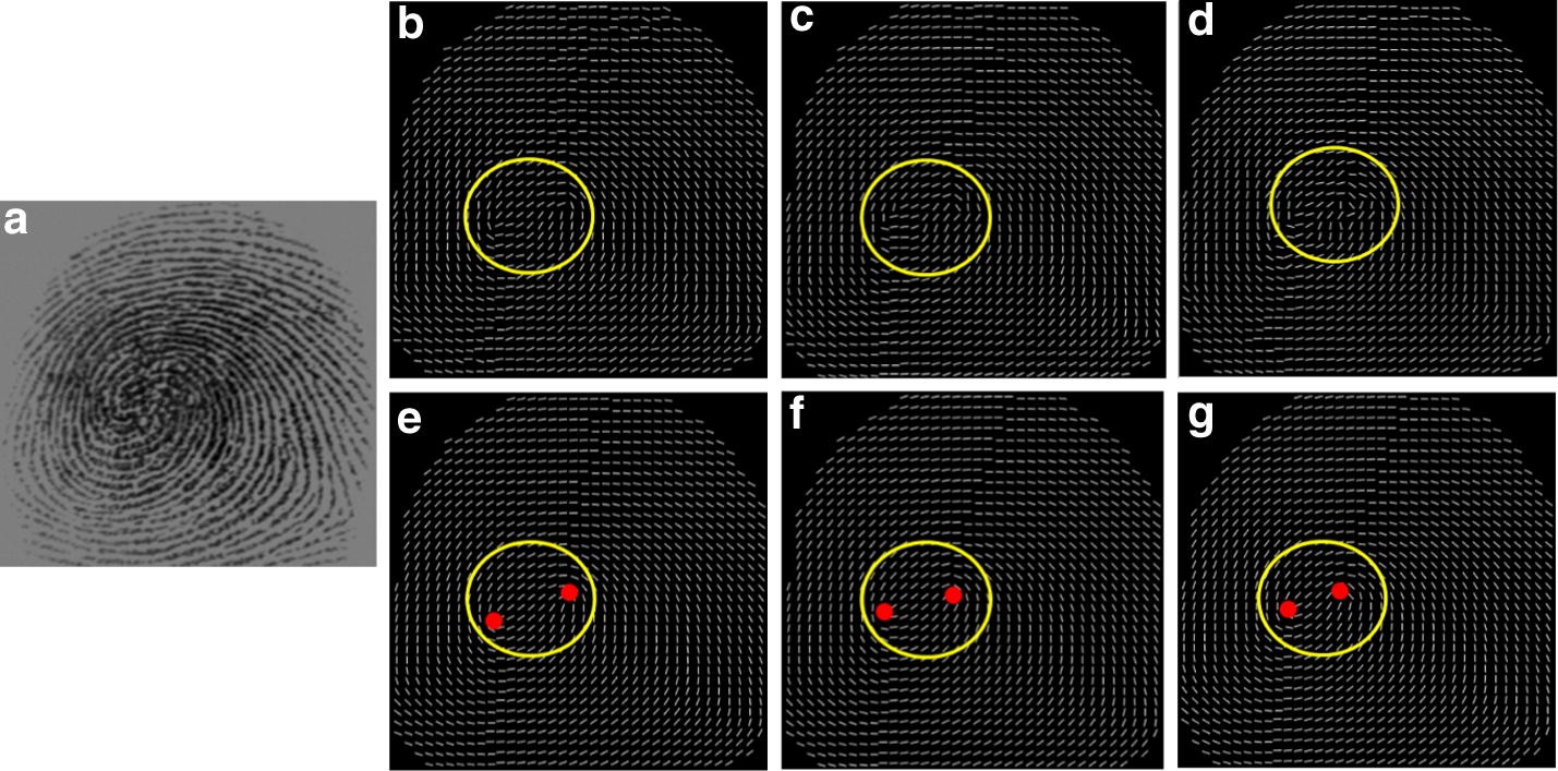 Fig. 12