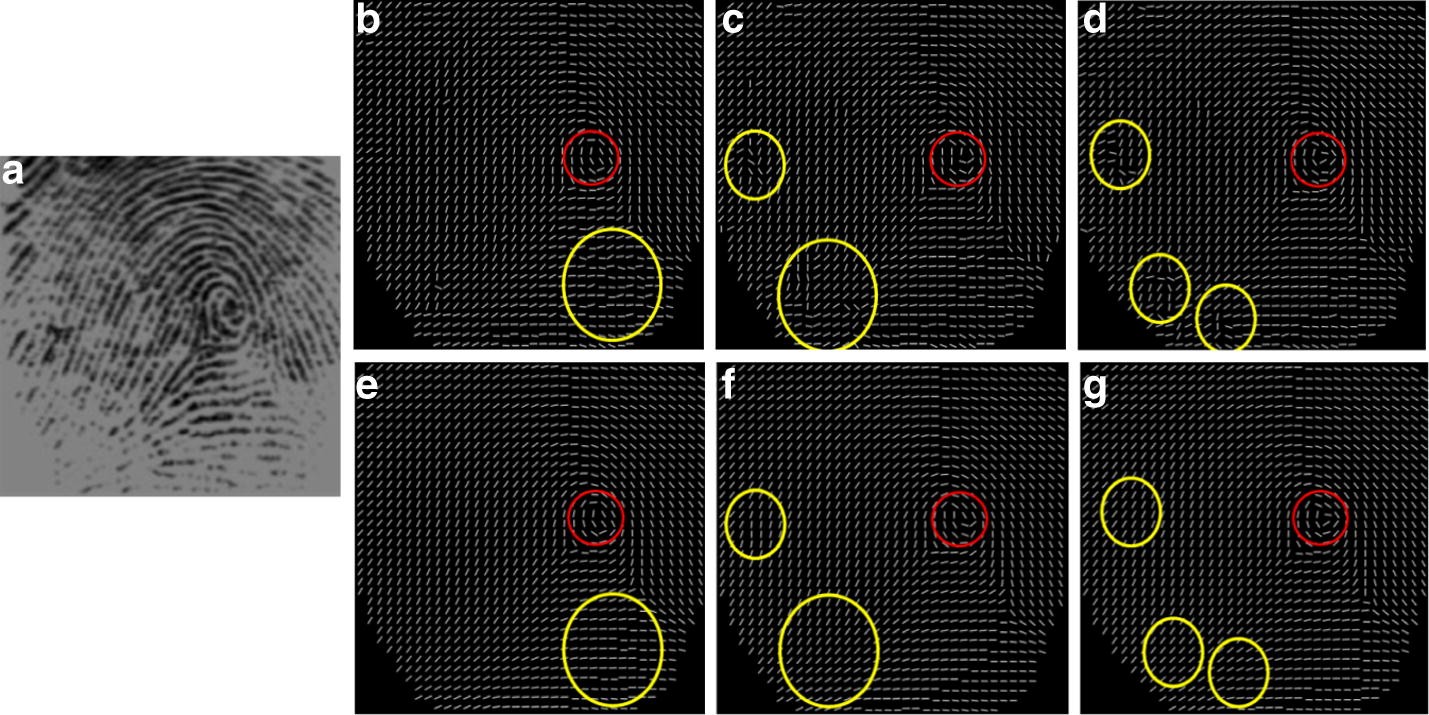 Fig. 13