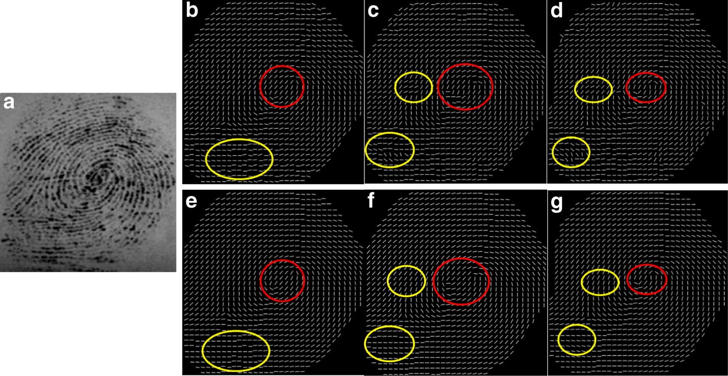 Fig. 14