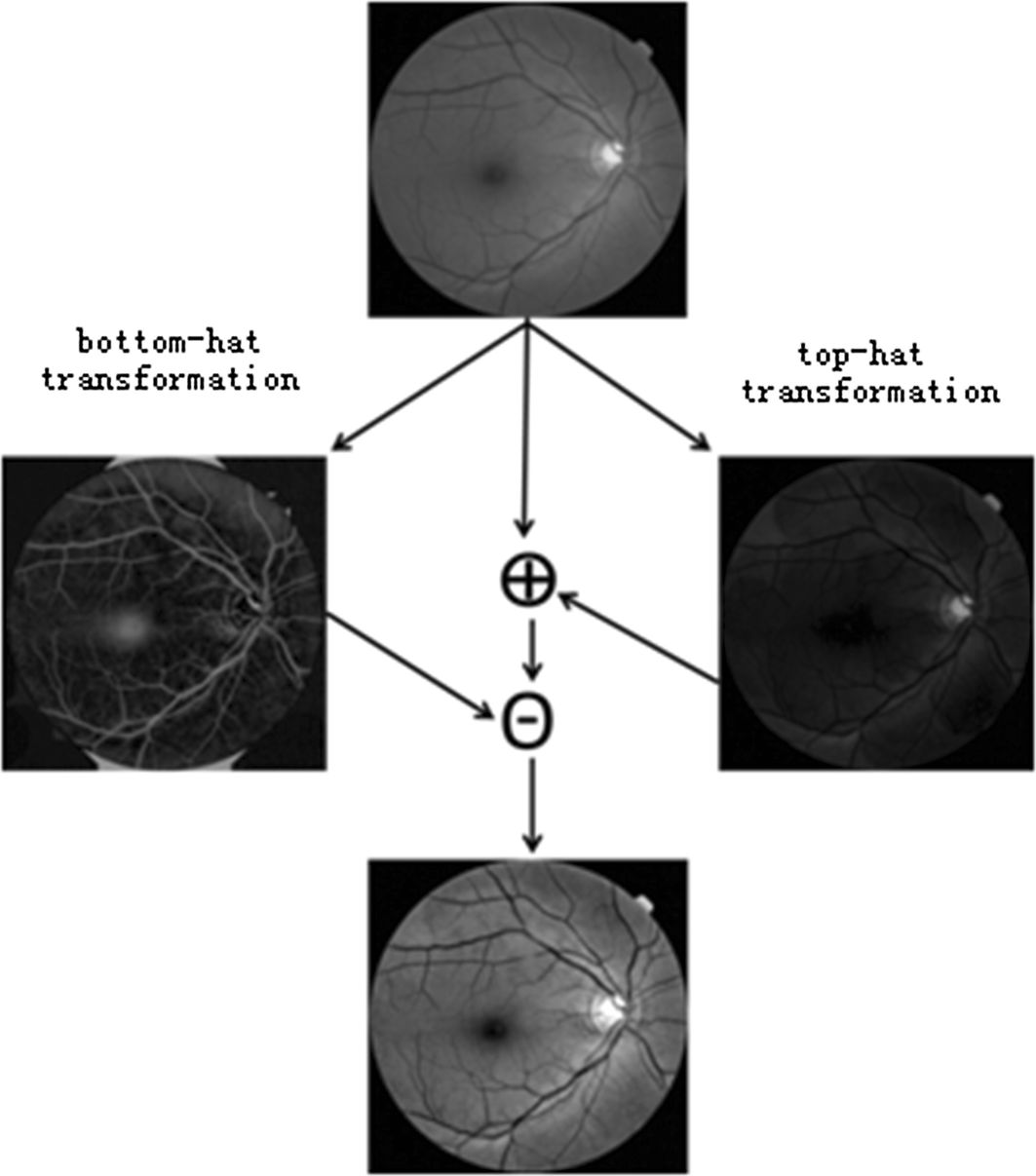 Fig. 2