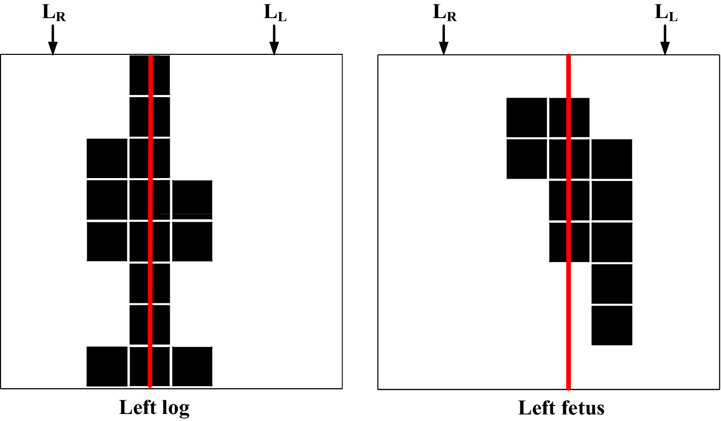 Fig. 9