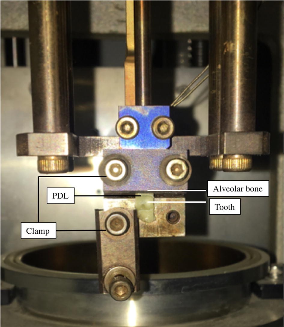 Fig. 3